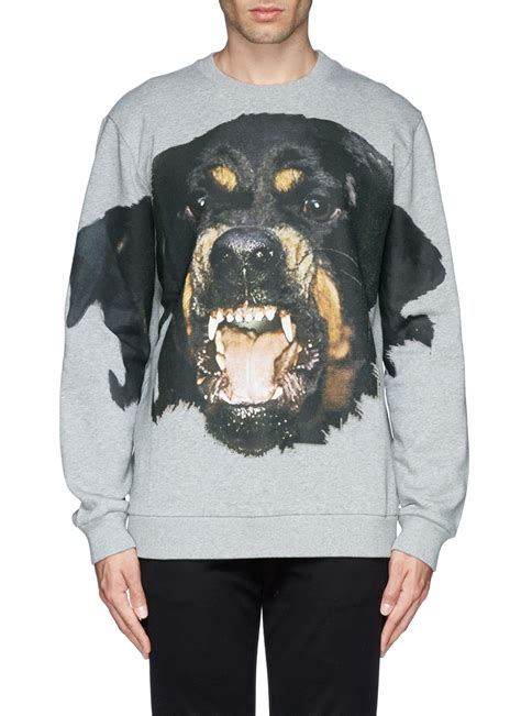 givenchy rottweiler sweater price|givenchy grey rottweiler sweater.